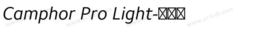 Camphor Pro Light字体转换